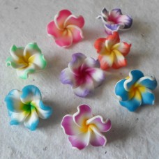 Polymer Clay ~ 20mm Flowers in Assorted Colours