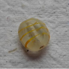 Handmade Indian Glass bead ~ Clear with Yellow Stripe 
