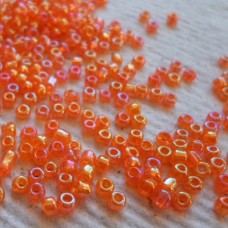 Seed Beads ~ Rainbow ~ Orange