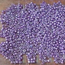 Seed Beads ~ Violet