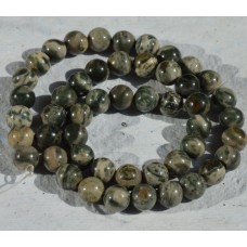 Green Zebra Jasper  Round Beads
