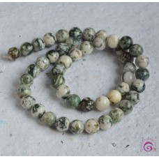 Tree Agate Round Beads