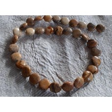 Picture Jasper Coin Beads