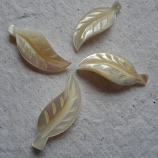 Mother of Pearl ~ Ivory Leaves