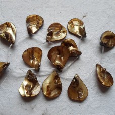 Shell ~ Rounded Old Gold Drops