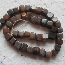 Shell ~ 6mm Cubes ~ Brown