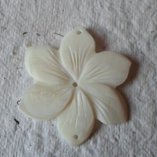 Shell ~ Flower in Cream