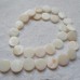 Shell Discs Ivory ~ Available in 11mm & 12mm