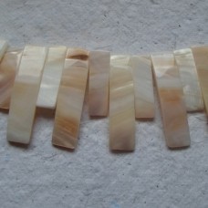 Shell Rectangle Sticks