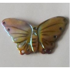 Shell ~ Iridescent Butterfly