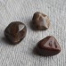 Tumble Stones ~ Petrified Wood