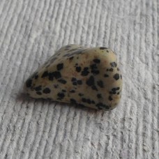 Tumble Stones ~ Picture Jasper